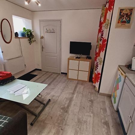 Studio Cosy Tout Confort Gaillac Centre. Buitenkant foto